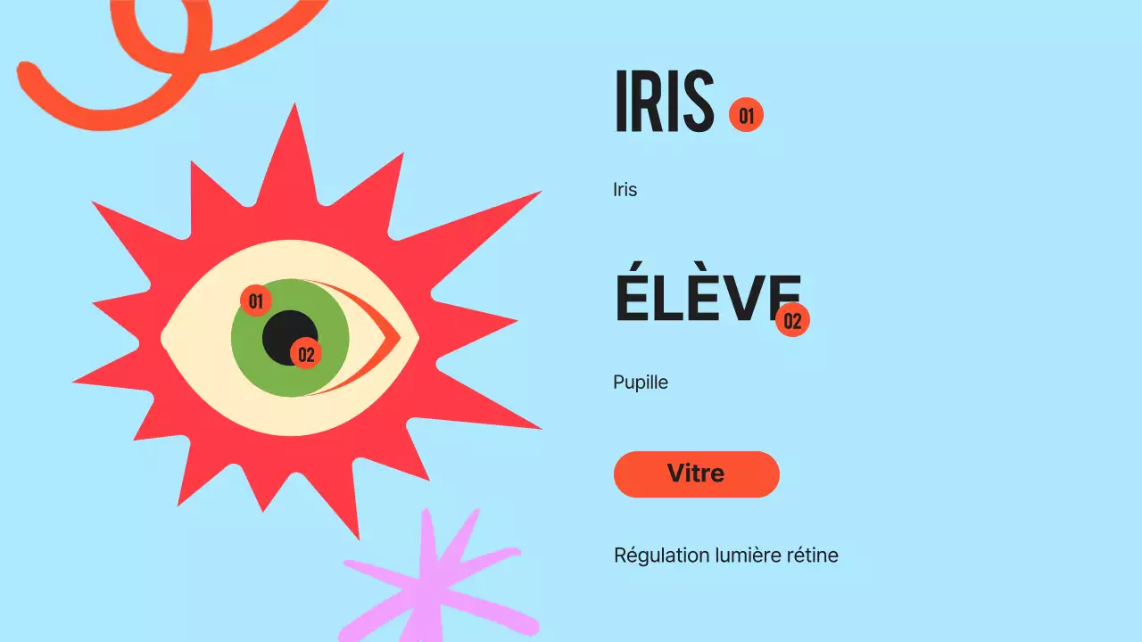 Noir Orange Flashy Eyes Lecture Material