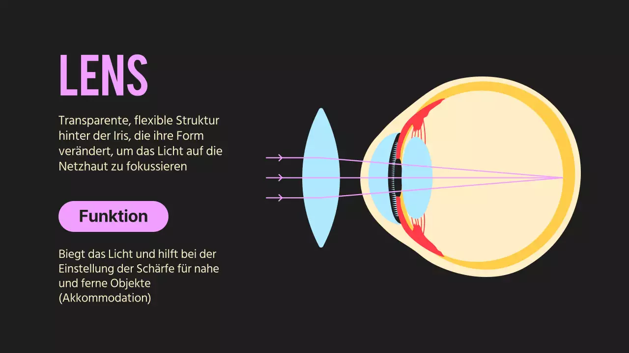 Schwarz Orange Flashy Eyes Vortragsmaterial