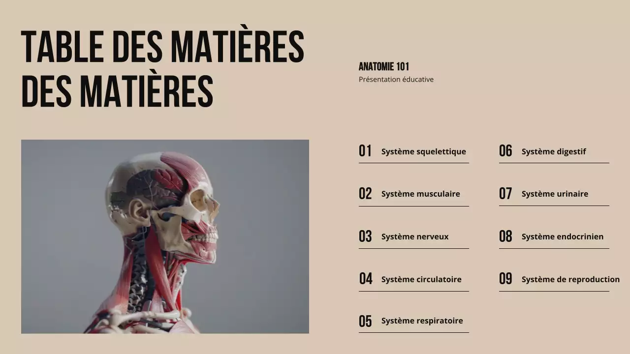 Matériel d'étude sur la structure et la fonction des parties du corps Ivory Bold
