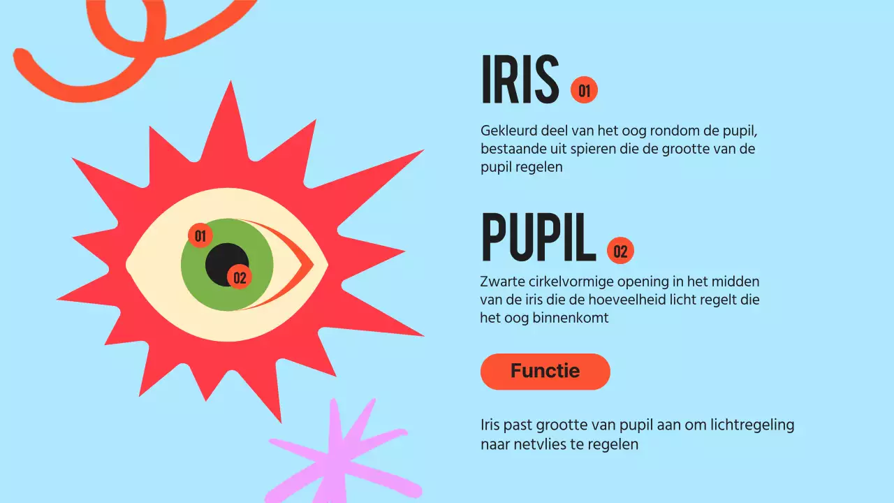 Zwart Oranje Flashy Eyes Voorleesmateriaal