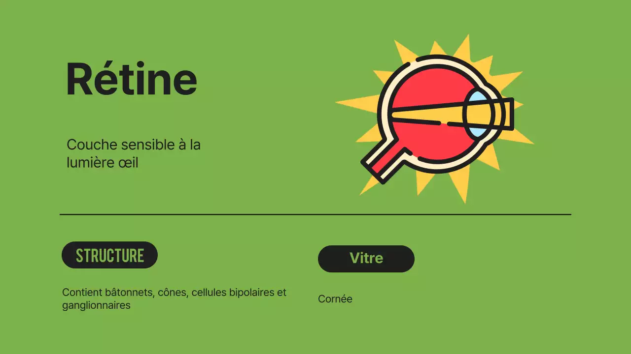 Noir Orange Flashy Eyes Lecture Material