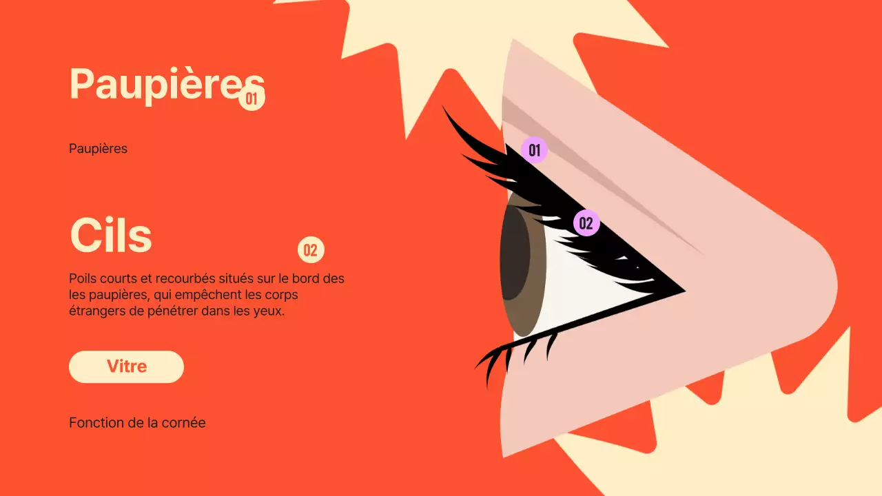 Noir Orange Flashy Eyes Lecture Material