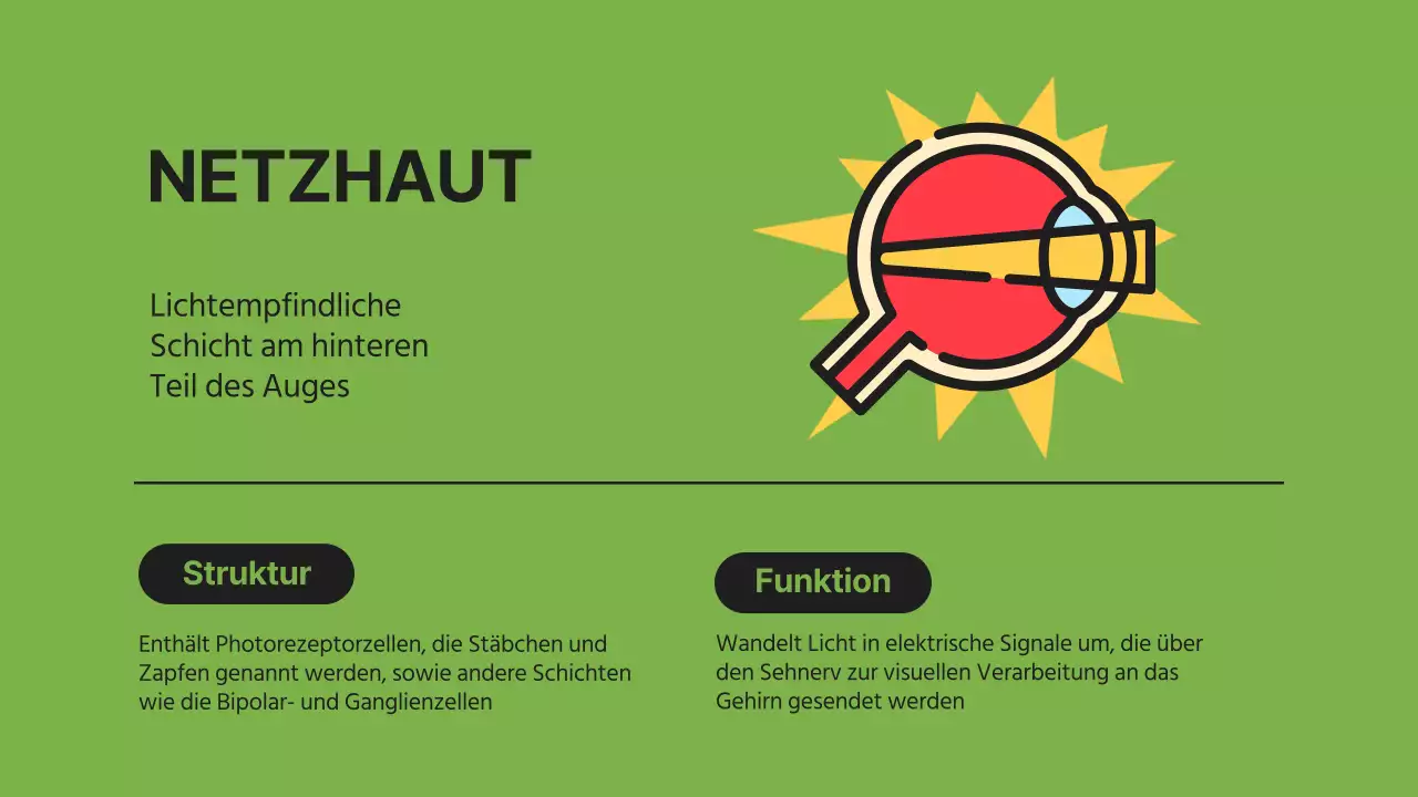 Schwarz Orange Flashy Eyes Vortragsmaterial