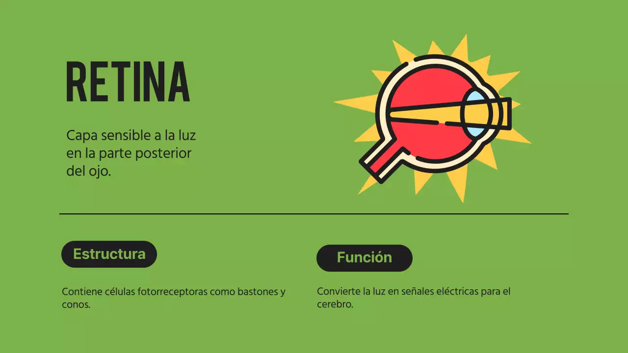 Black Orange Flashy Eyes Material de lectura