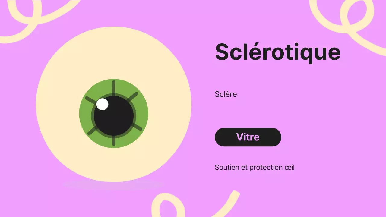 Noir Orange Flashy Eyes Lecture Material