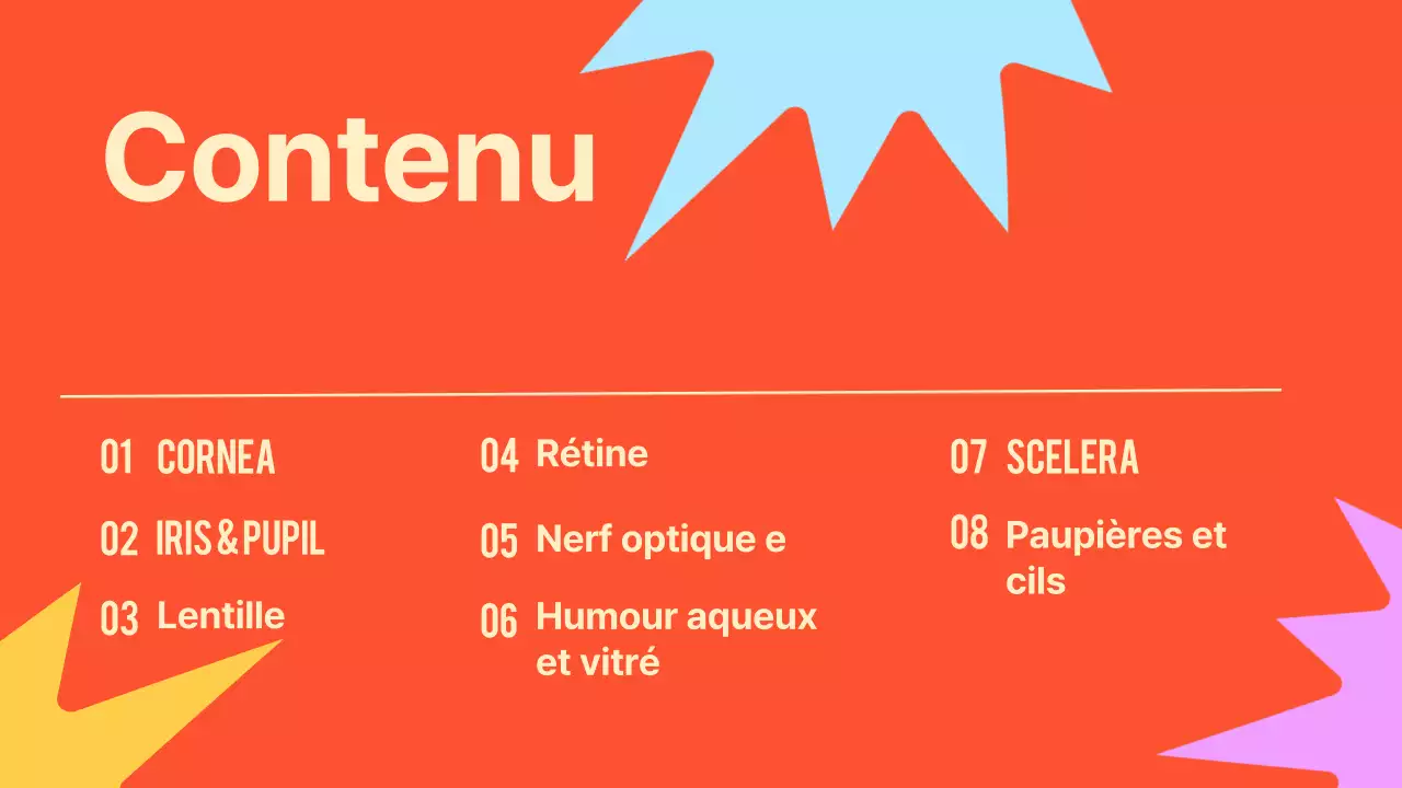 Noir Orange Flashy Eyes Lecture Material