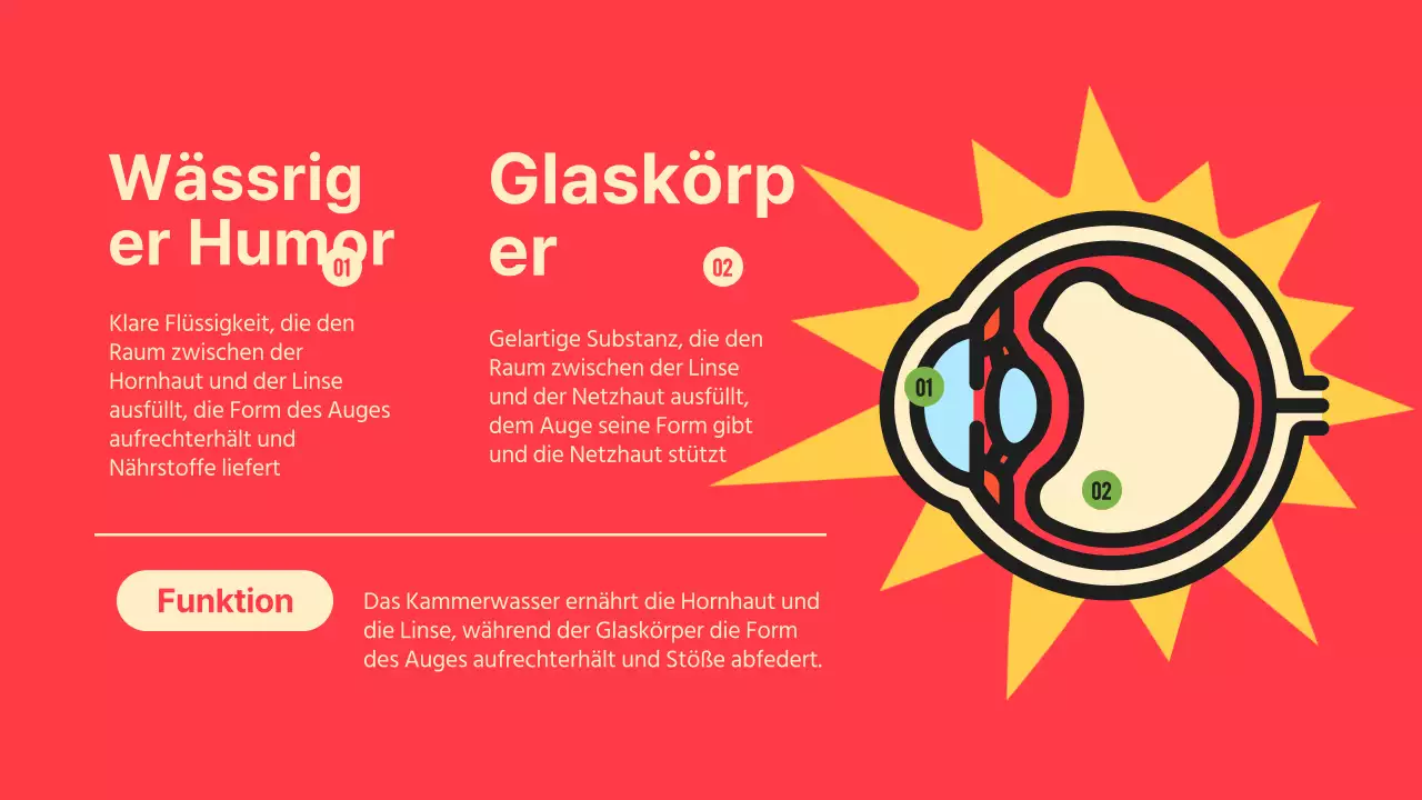 Schwarz Orange Flashy Eyes Vortragsmaterial