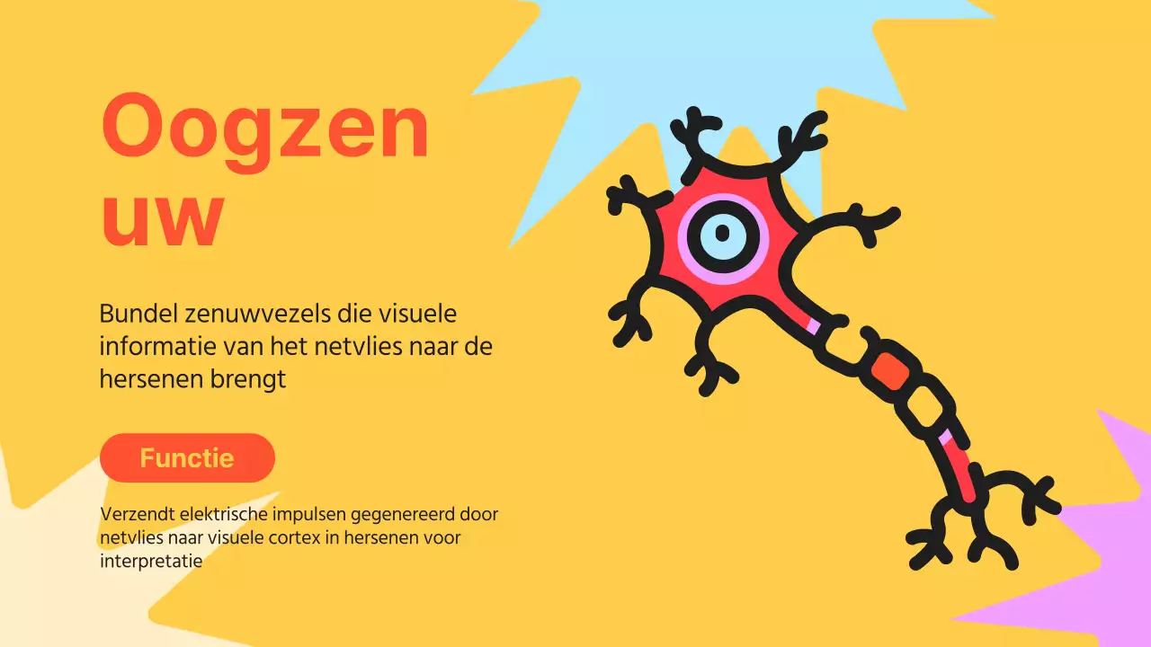 Zwart Oranje Flashy Eyes Voorleesmateriaal