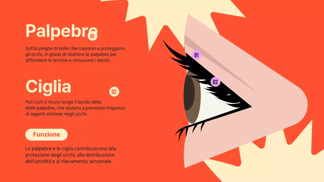 Nero arancione Occhi vistosi Materiale per conferenze