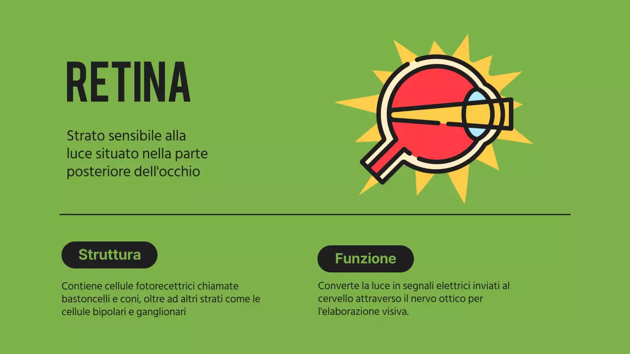 Nero arancione Occhi vistosi Materiale per conferenze