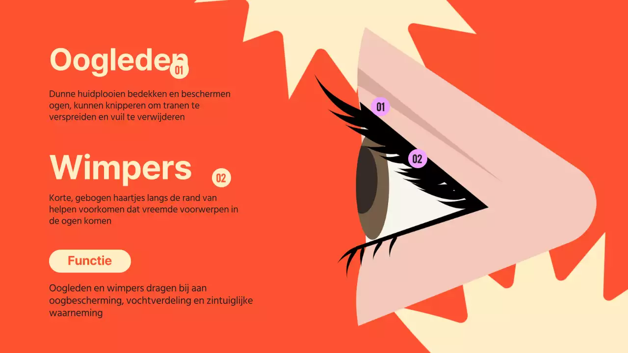 Zwart Oranje Flashy Eyes Voorleesmateriaal