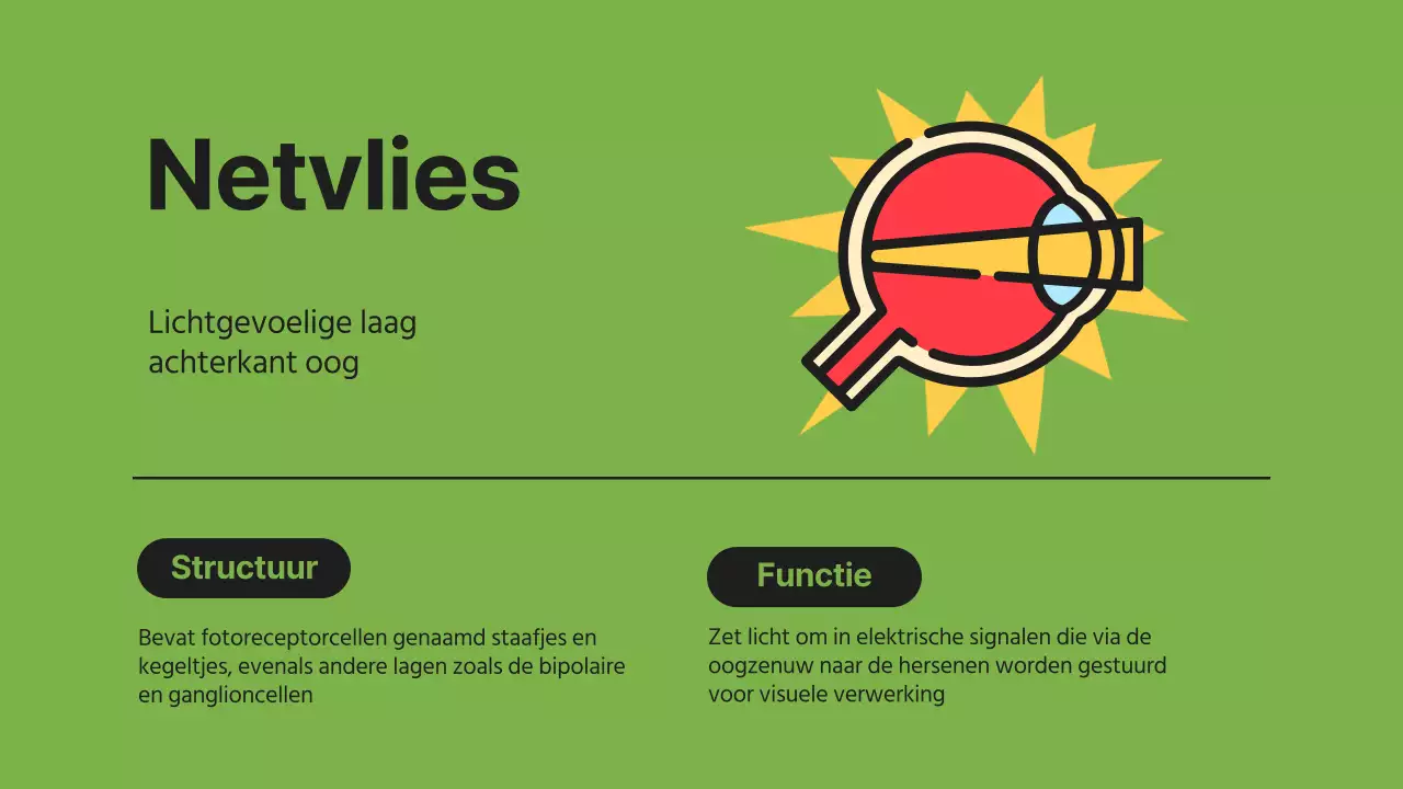 Zwart Oranje Flashy Eyes Voorleesmateriaal