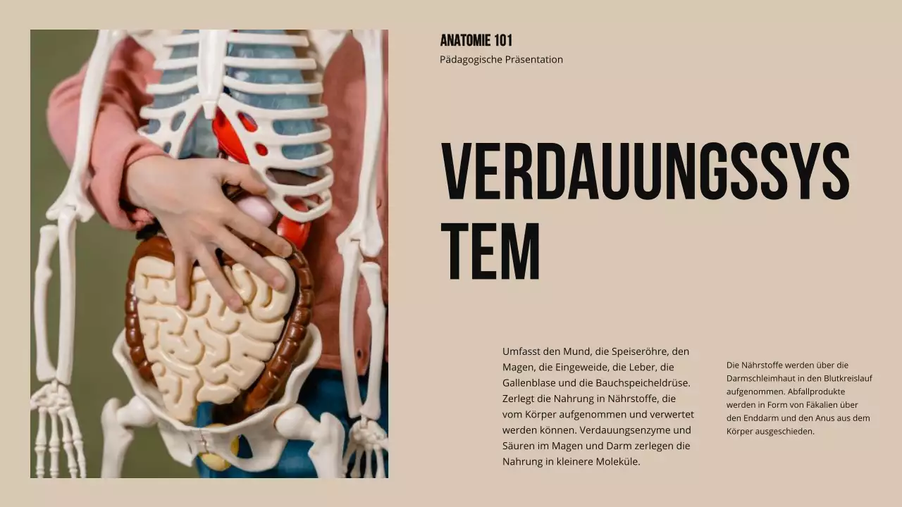 Ivory Bold Struktur und Funktion der Körperteile Studienmaterial