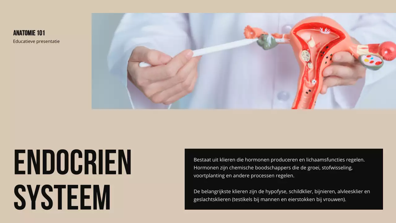 Ivory Bold Structuur en functie van lichaamsdelen Studiemateriaal