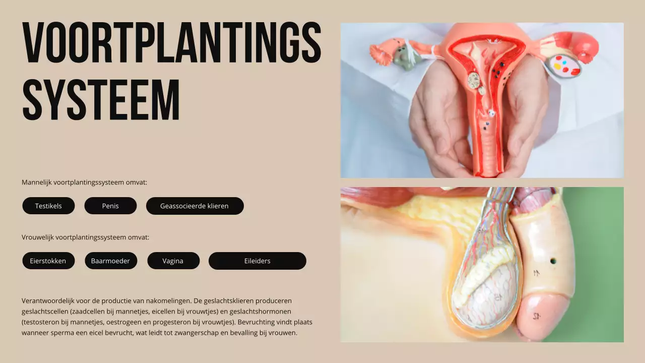 Ivory Bold Structuur en functie van lichaamsdelen Studiemateriaal