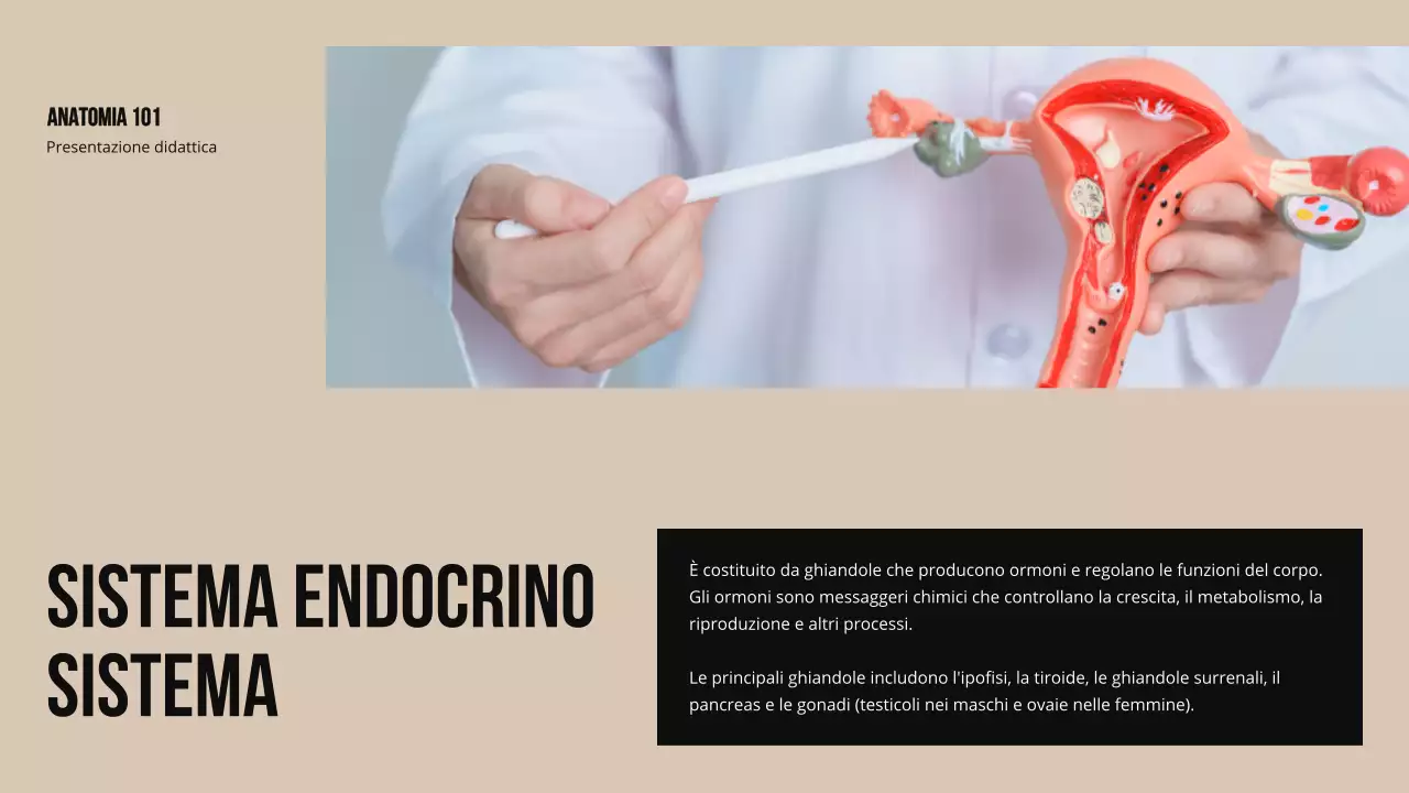 Materiale di studio sulla struttura e la funzione delle parti del corpo in grassetto d'avorio