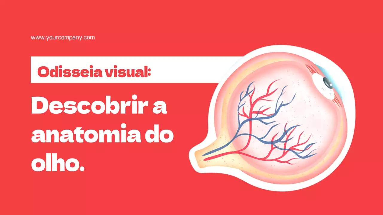 Material de estudo sobre as partes simples dos olhos vermelhos