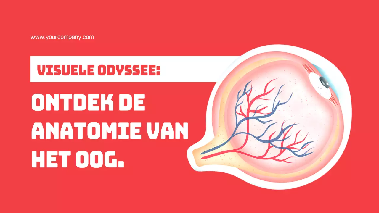 Rood Eenvoudige Delen van de Ogen Studiemateriaal
