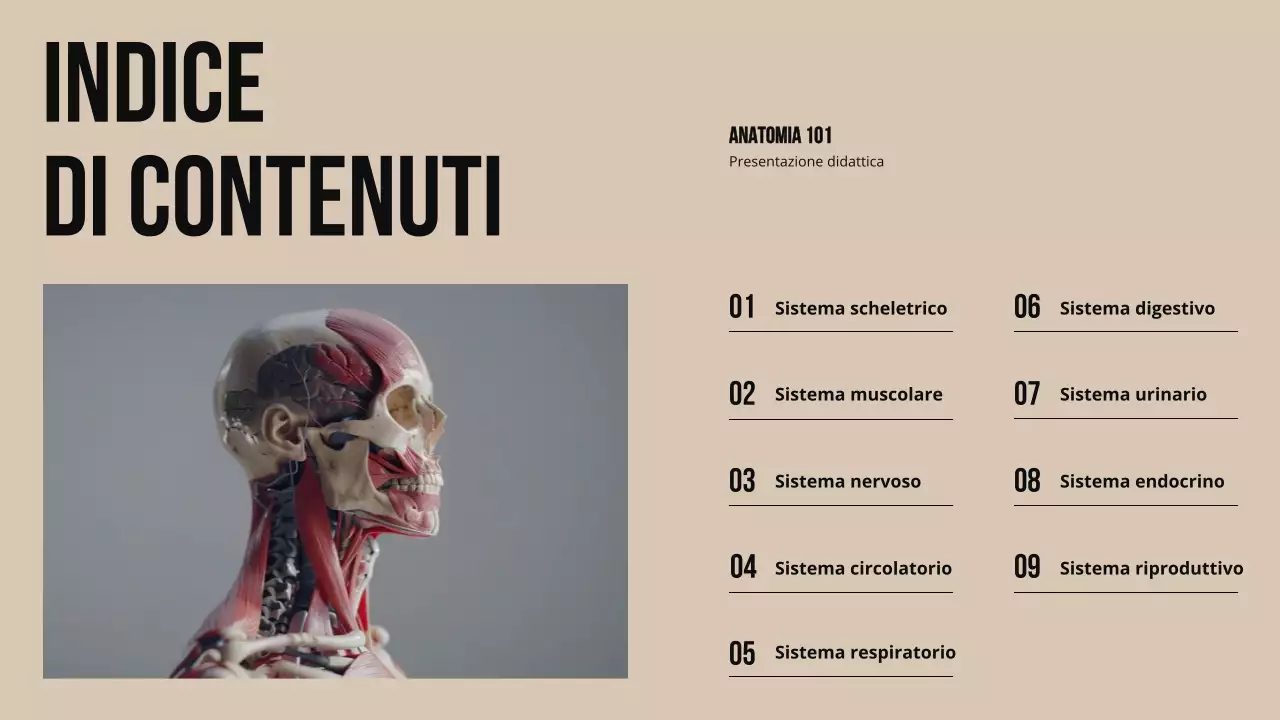 Materiale di studio sulla struttura e la funzione delle parti del corpo in grassetto d'avorio