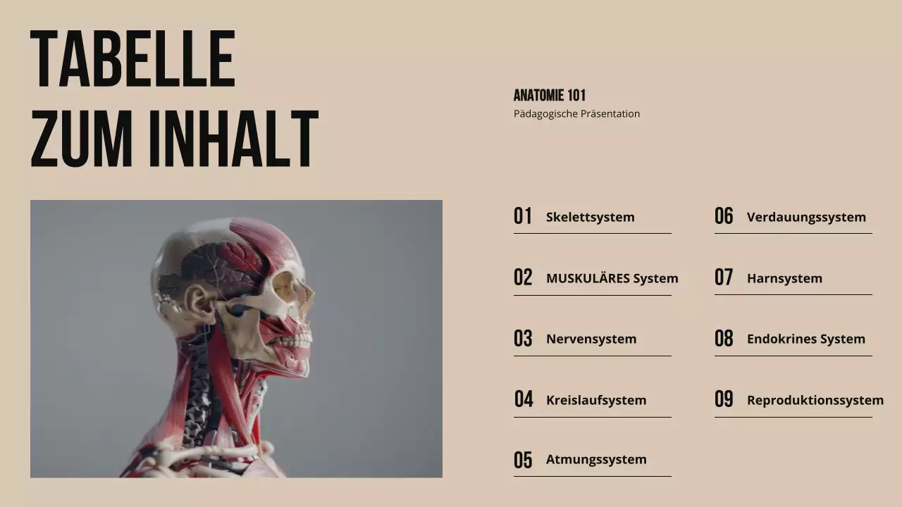 Ivory Bold Struktur und Funktion der Körperteile Studienmaterial