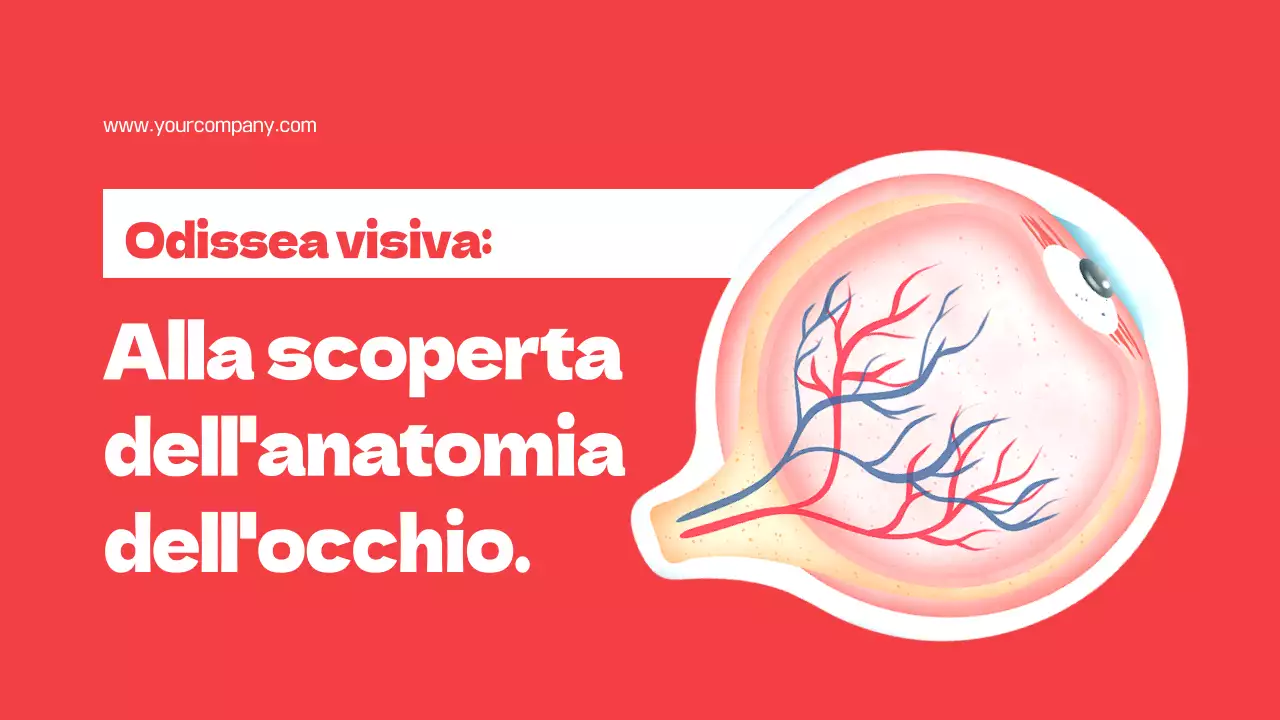 Rosso Parti semplici degli occhi Materiale di studio