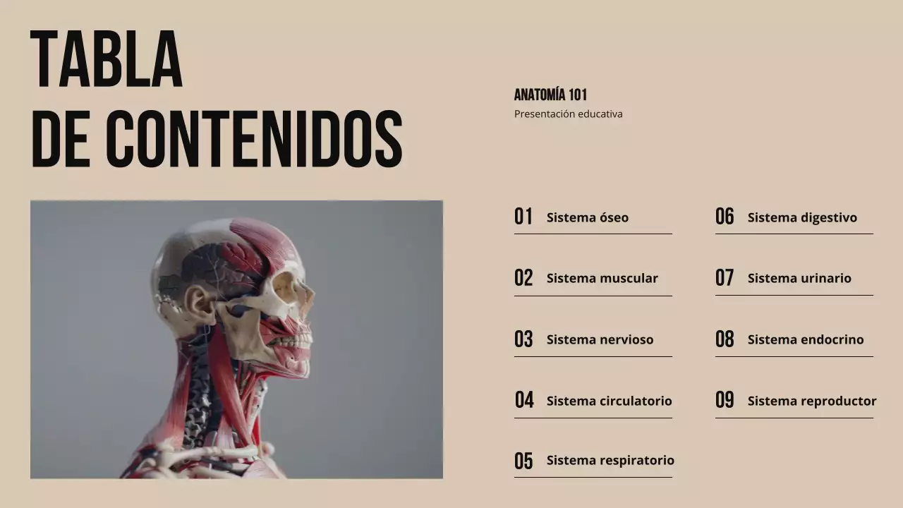 Ivory Bold Estructura y función de las partes del cuerpo Material de estudio