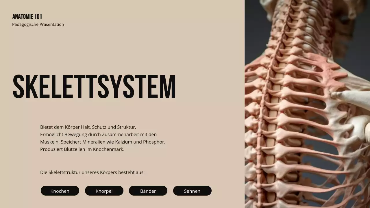 Ivory Bold Struktur und Funktion der Körperteile Studienmaterial