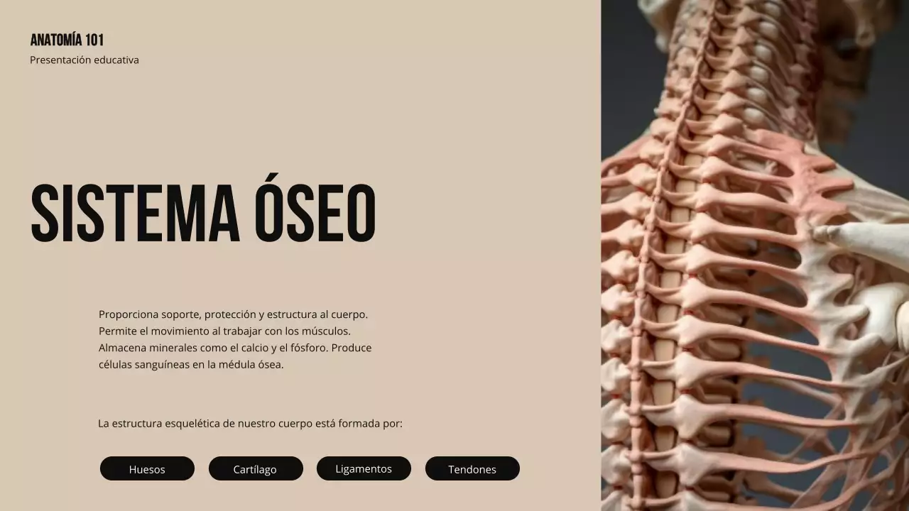 Ivory Bold Estructura y función de las partes del cuerpo Material de estudio