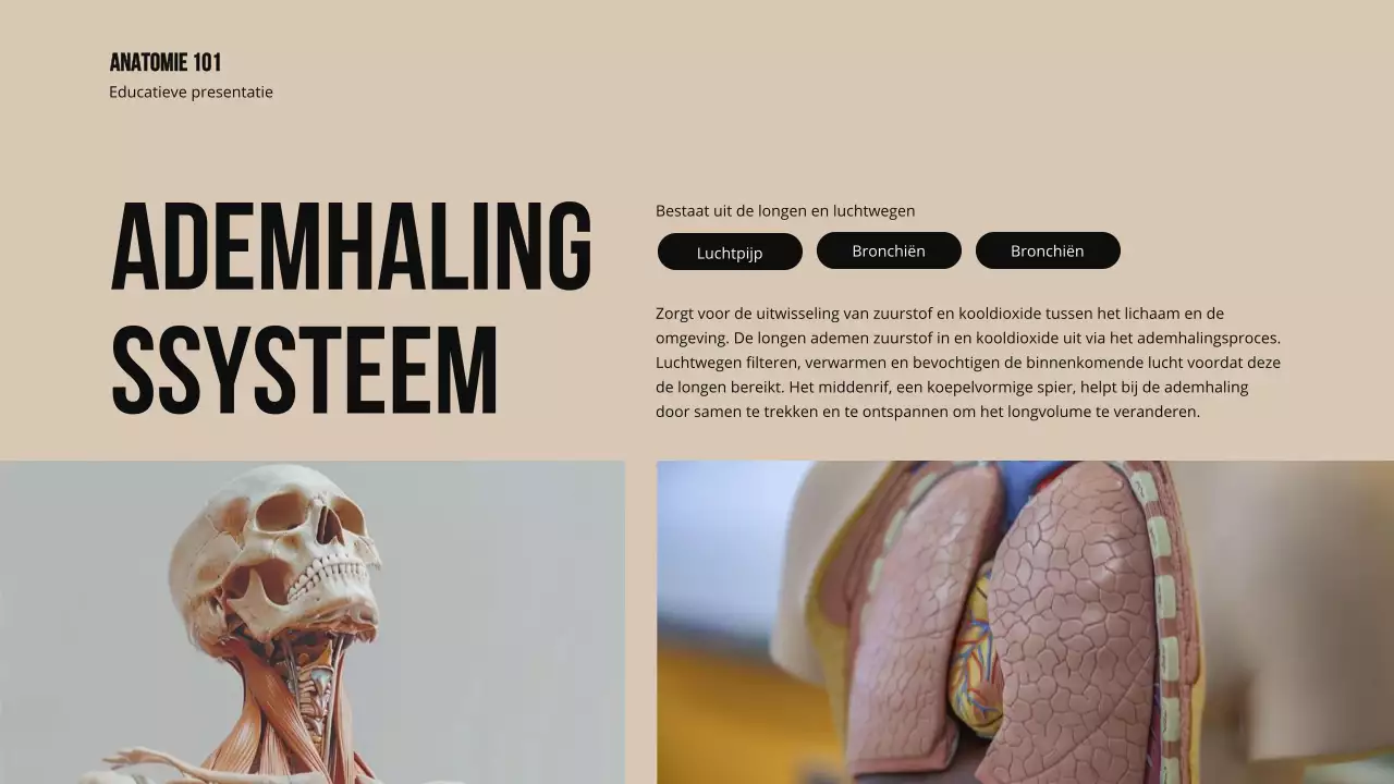 Ivory Bold Structuur en functie van lichaamsdelen Studiemateriaal