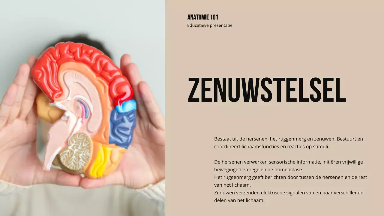 Ivory Bold Structuur en functie van lichaamsdelen Studiemateriaal