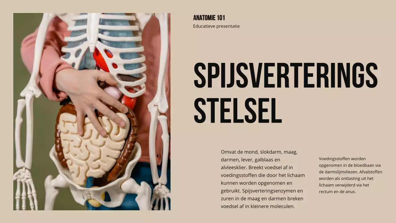 Ivory Bold Structuur en functie van lichaamsdelen Studiemateriaal
