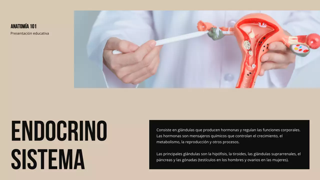 Ivory Bold Estructura y función de las partes del cuerpo Material de estudio