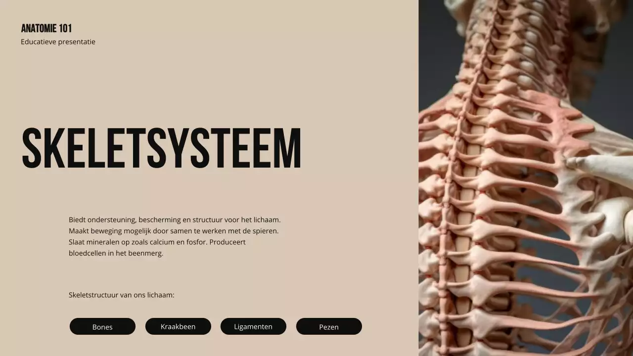 Ivory Bold Structuur en functie van lichaamsdelen Studiemateriaal