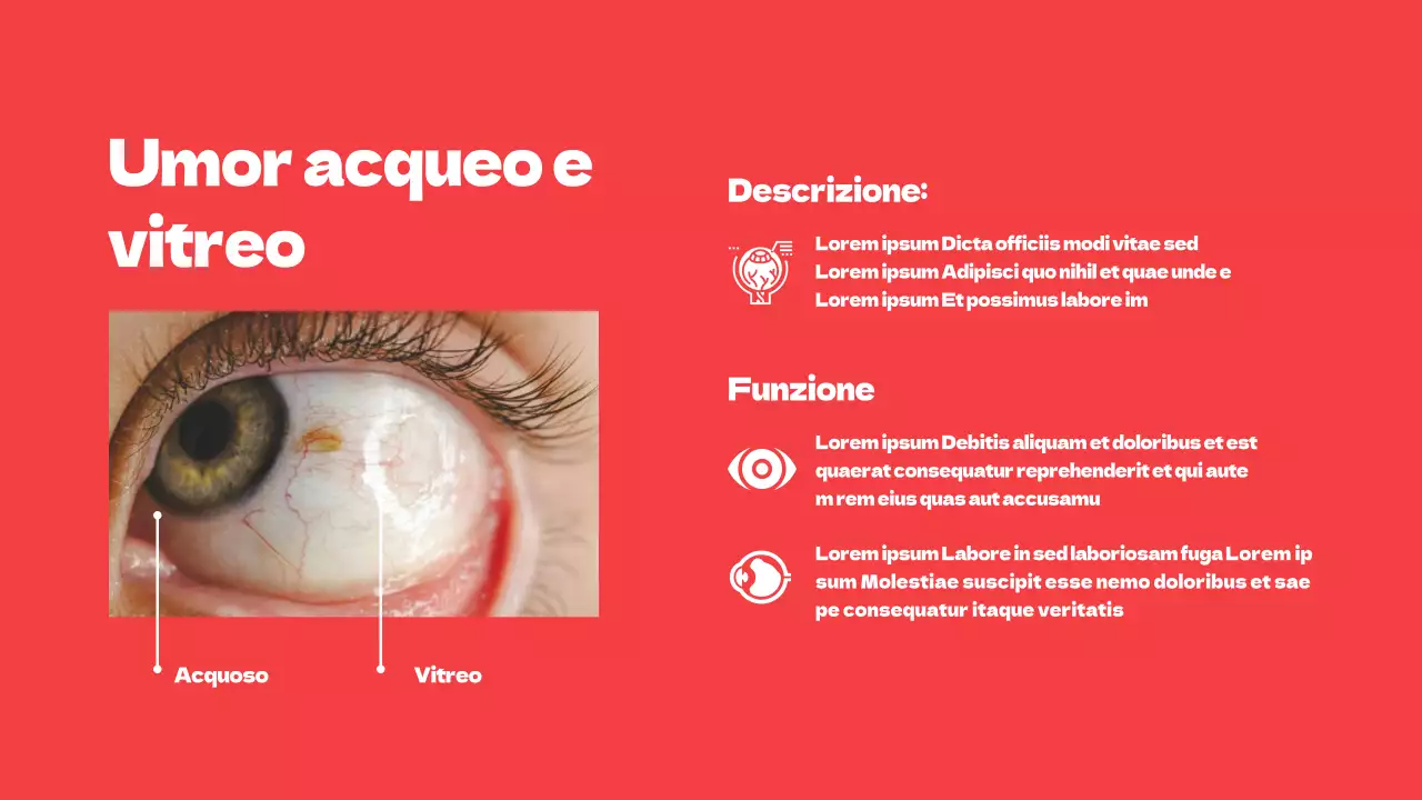 Rosso Parti semplici degli occhi Materiale di studio