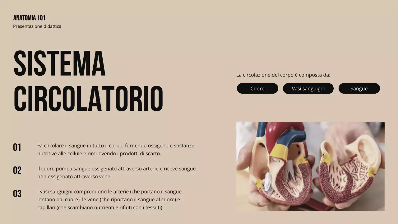 Materiale di studio sulla struttura e la funzione delle parti del corpo in grassetto d'avorio