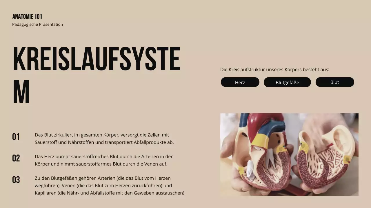 Ivory Bold Struktur und Funktion der Körperteile Studienmaterial