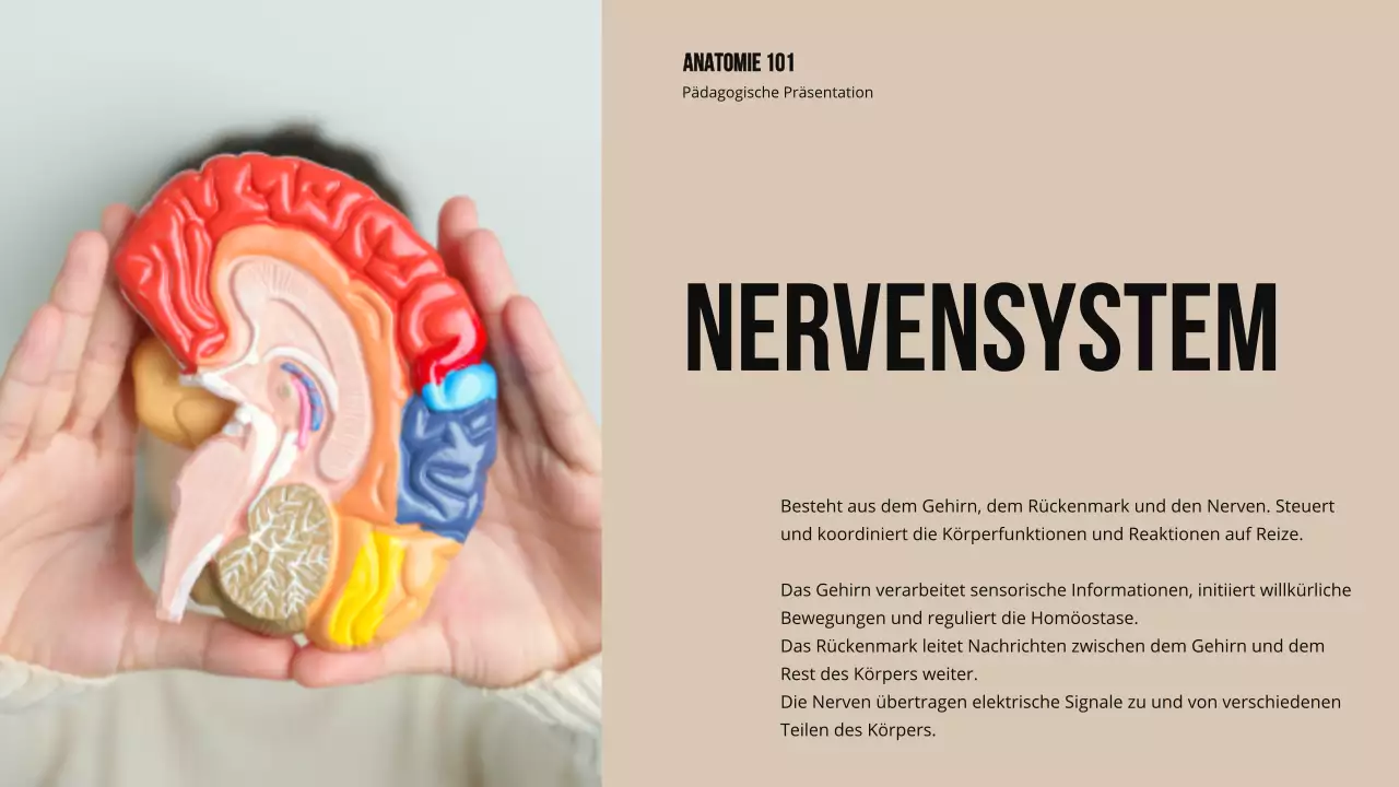 Ivory Bold Struktur und Funktion der Körperteile Studienmaterial