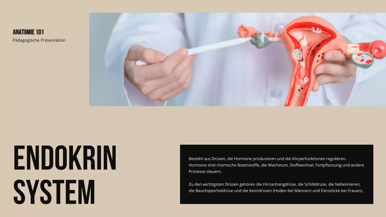 Ivory Bold Struktur und Funktion der Körperteile Studienmaterial