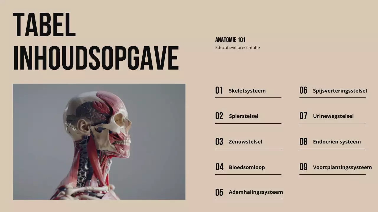 Ivory Bold Structuur en functie van lichaamsdelen Studiemateriaal