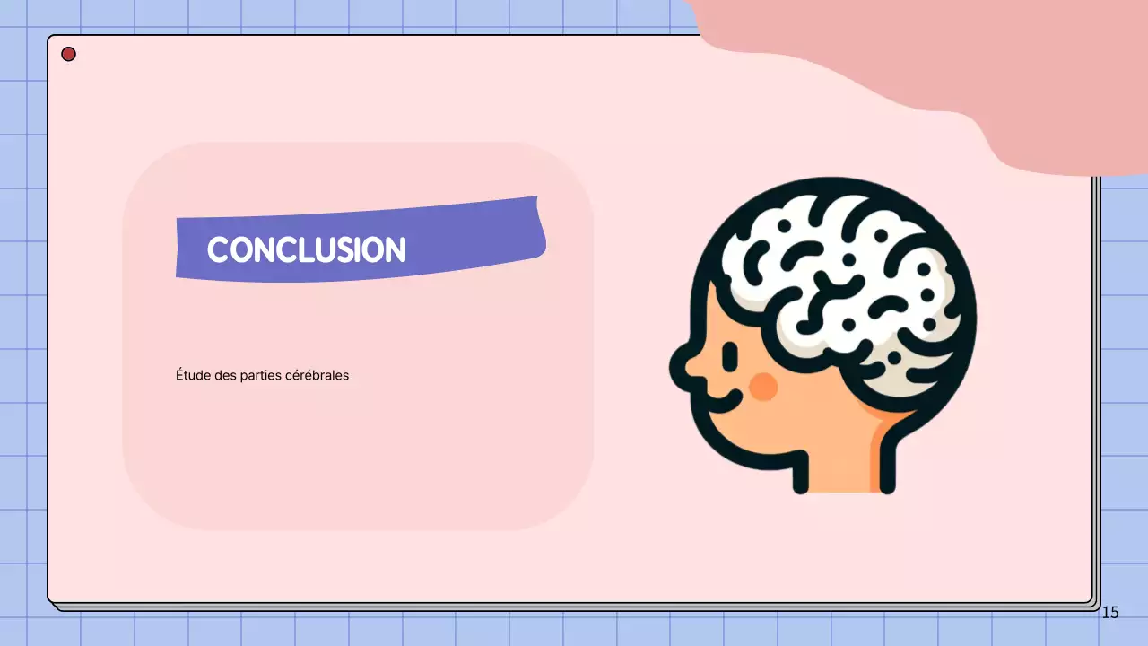 Matériel d'étude pour le cours d'anatomie cérébrale simple rose et bleu ciel