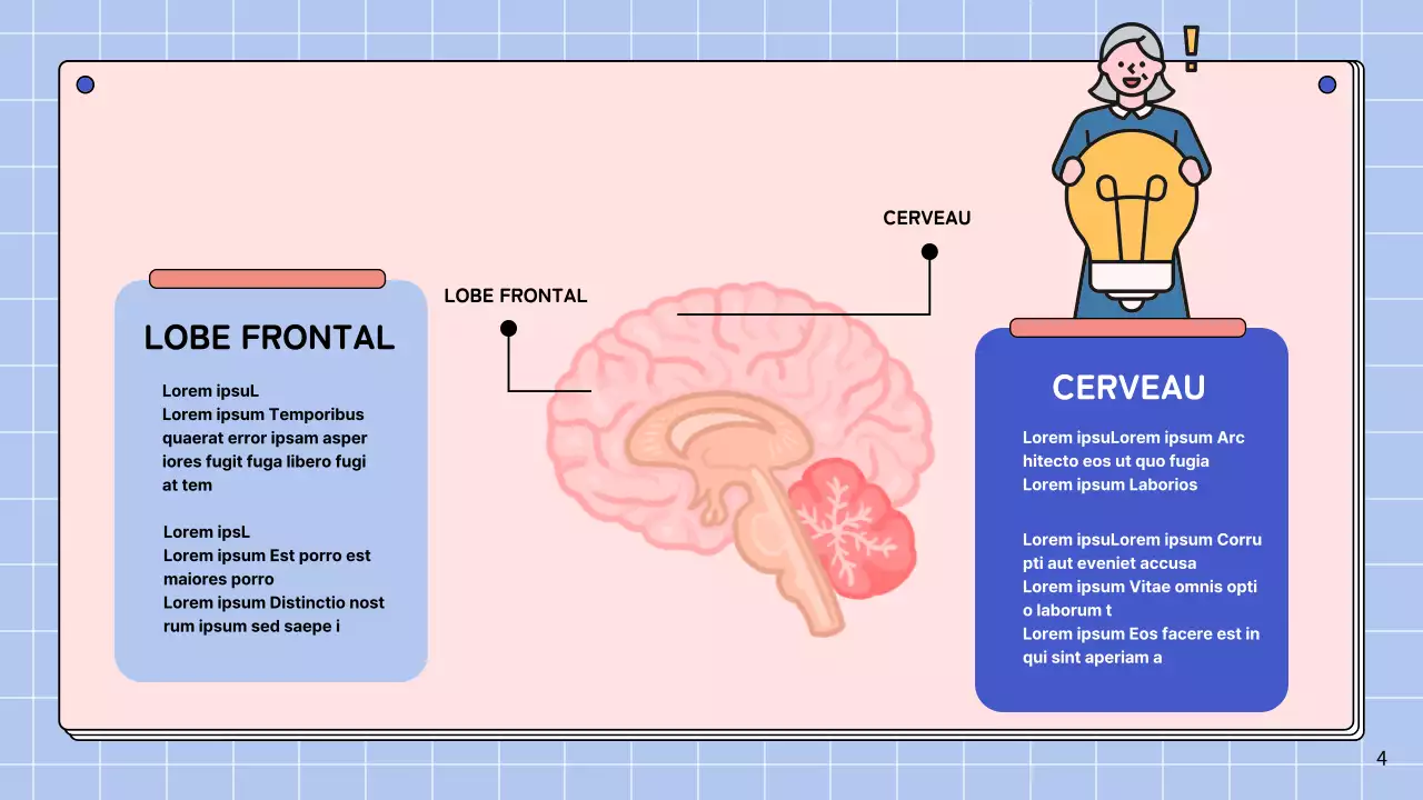 Matériel d'étude pour le cours d'anatomie cérébrale simple rose et bleu ciel
