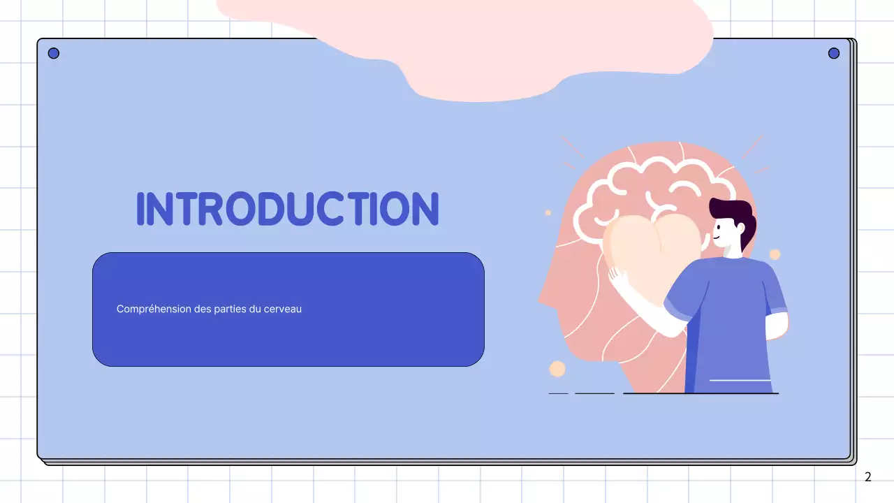 Matériel d'étude pour le cours d'anatomie cérébrale simple rose et bleu ciel