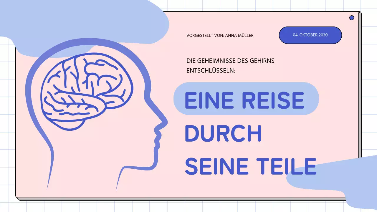 Rosa und himmelblau Einfache Anatomie des Gehirns Klasse Studienmaterialien