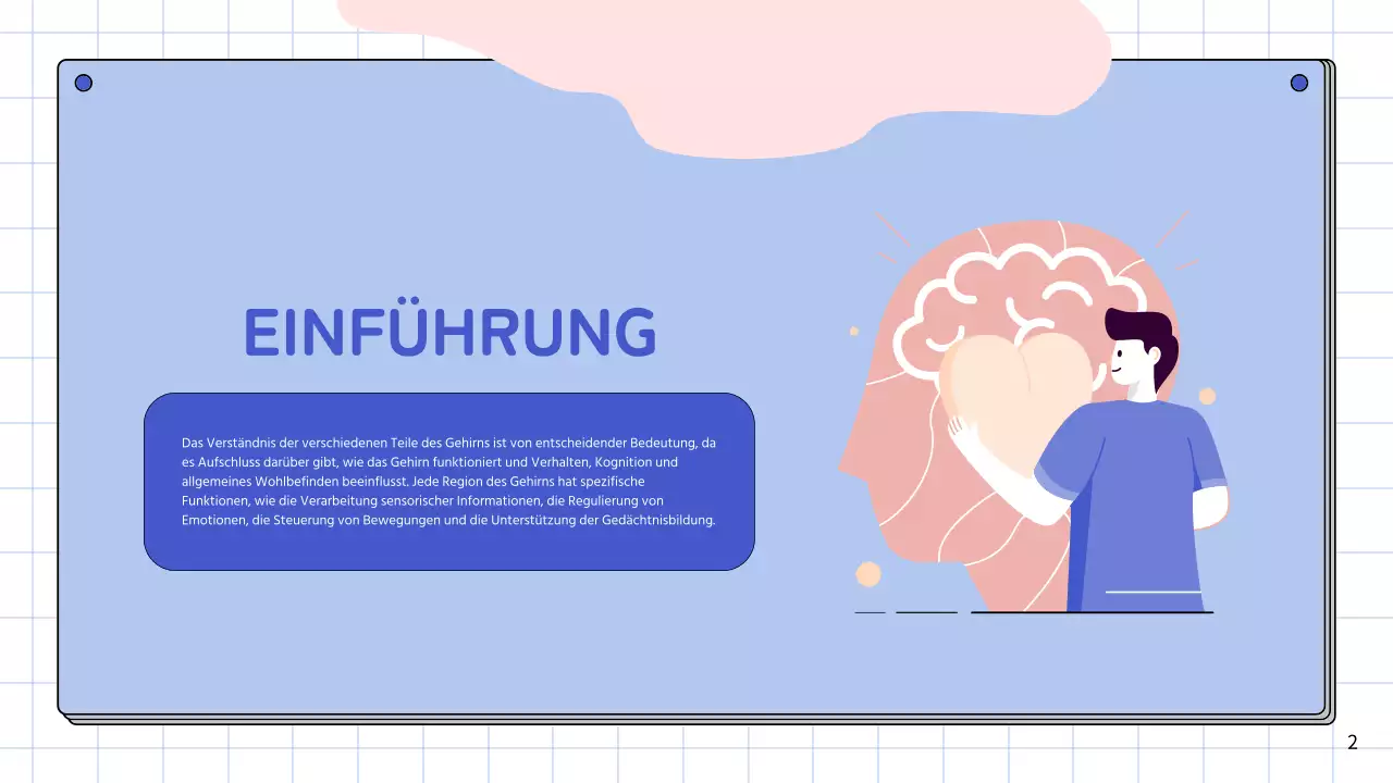 Rosa und himmelblau Einfache Anatomie des Gehirns Klasse Studienmaterialien