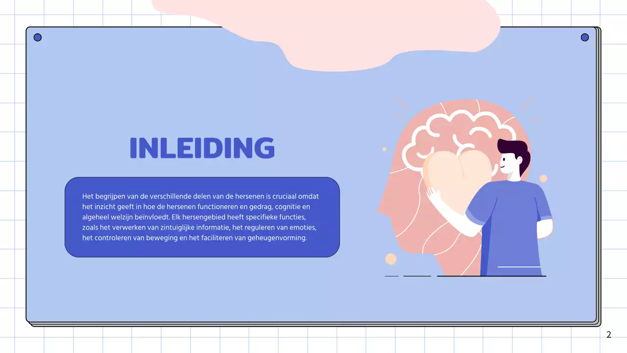 Roze en hemelsblauw eenvoudig studiemateriaal voor de anatomie van de hersenen