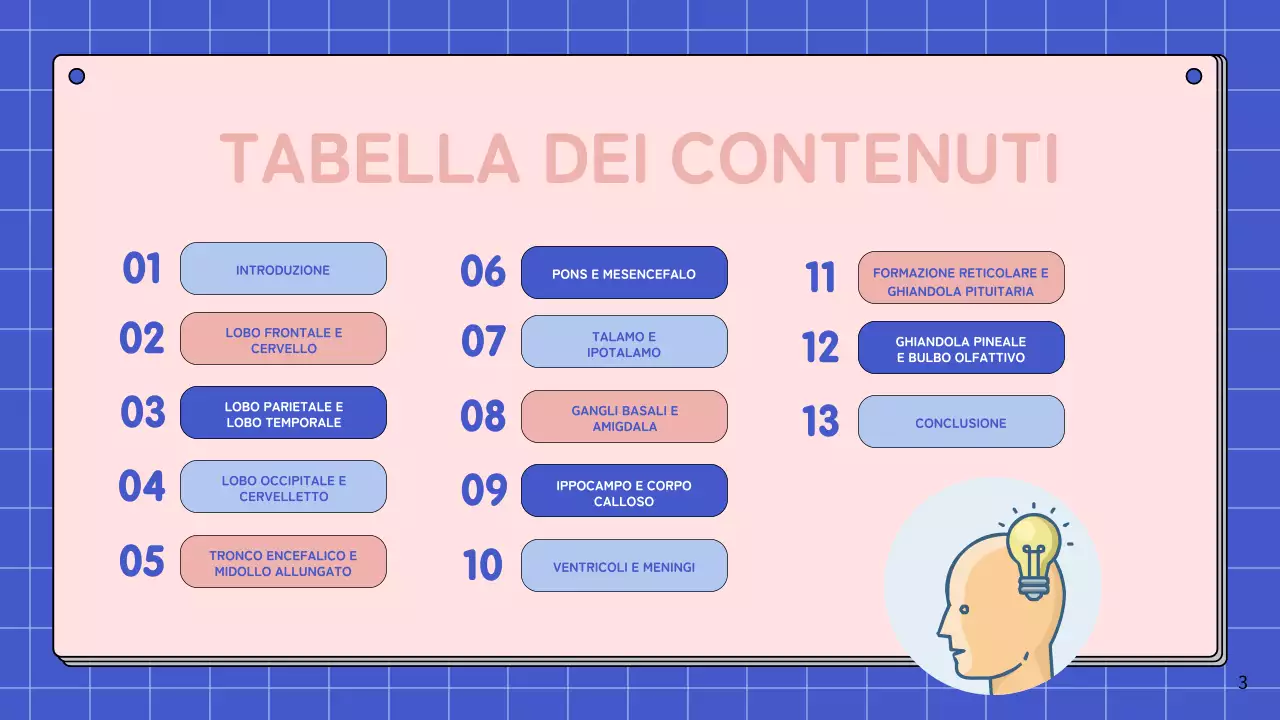 Materiale di studio per le lezioni di anatomia cerebrale semplice rosa e blu cielo