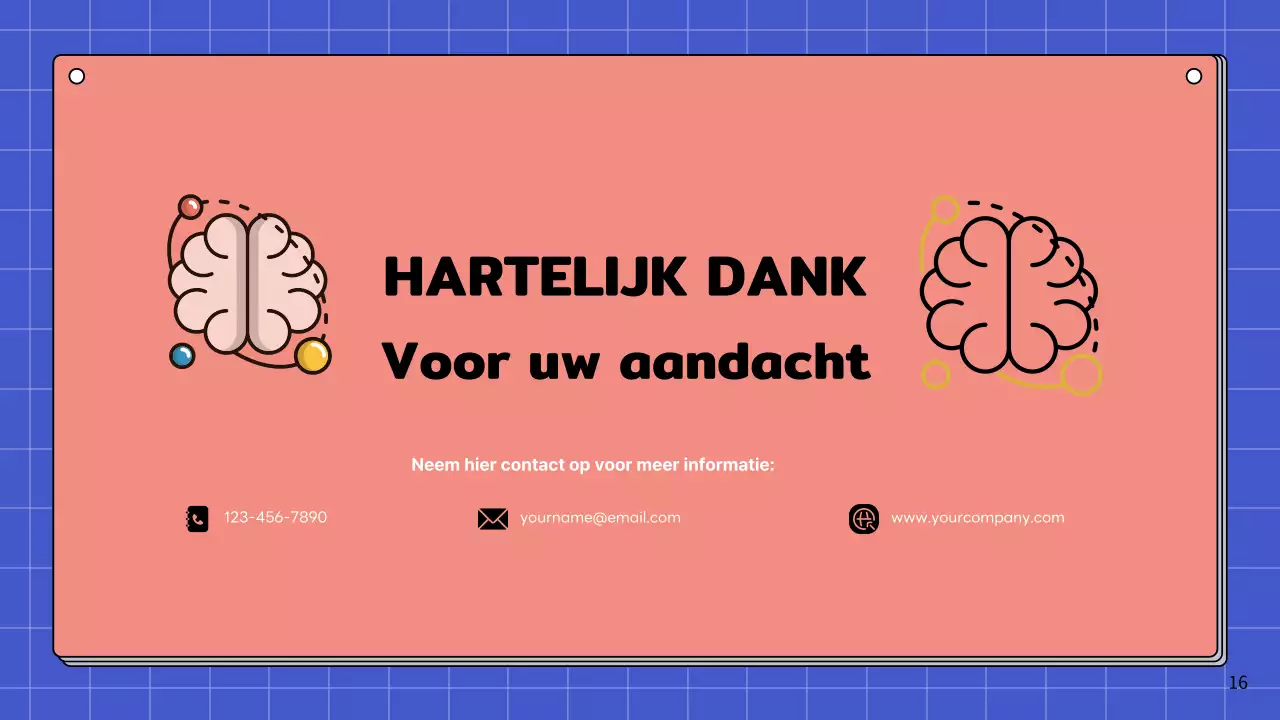 Roze en hemelsblauw eenvoudig studiemateriaal voor de anatomie van de hersenen