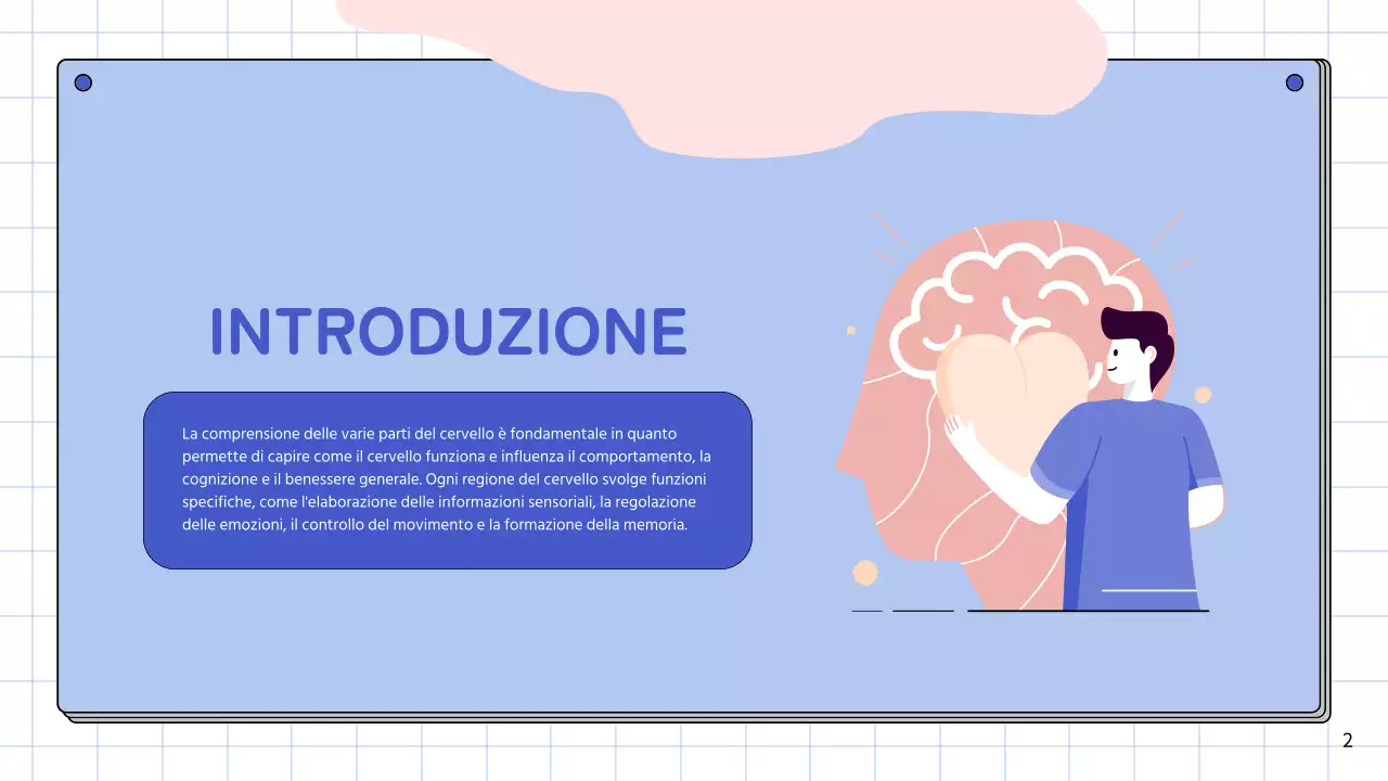 Materiale di studio per le lezioni di anatomia cerebrale semplice rosa e blu cielo