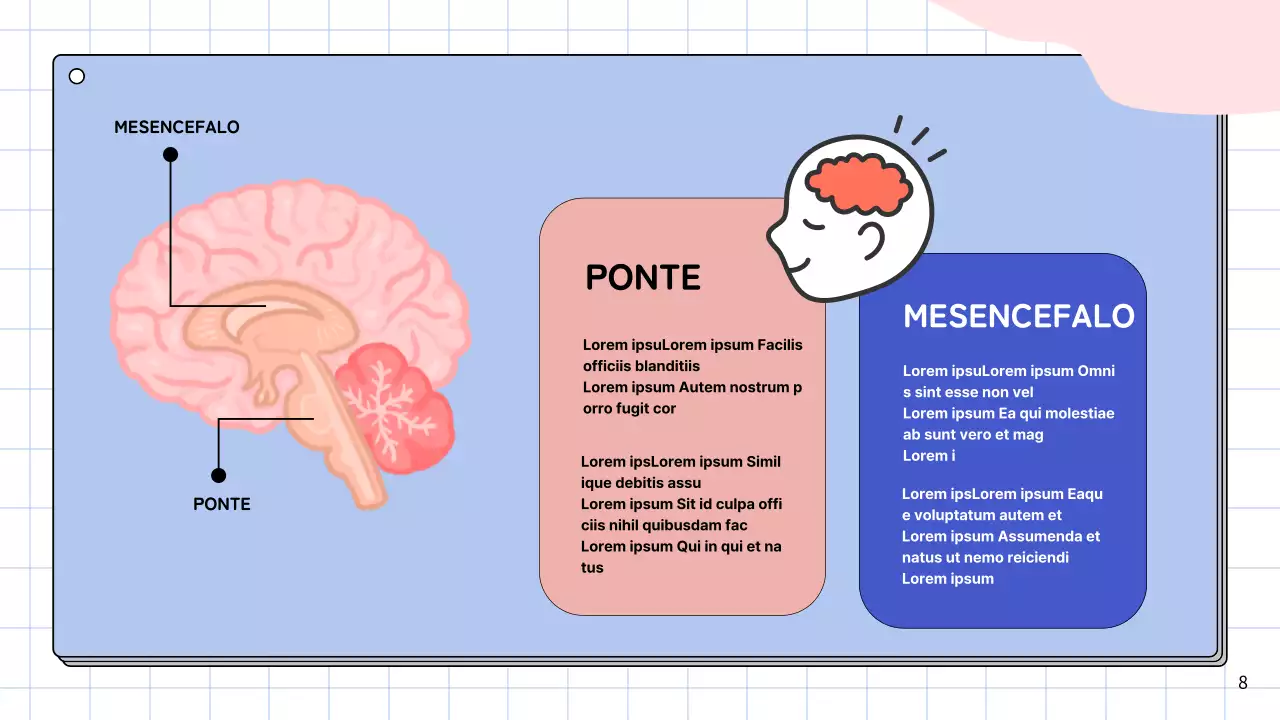 Materiale di studio per le lezioni di anatomia cerebrale semplice rosa e blu cielo