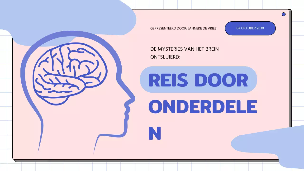 Roze en hemelsblauw eenvoudig studiemateriaal voor de anatomie van de hersenen